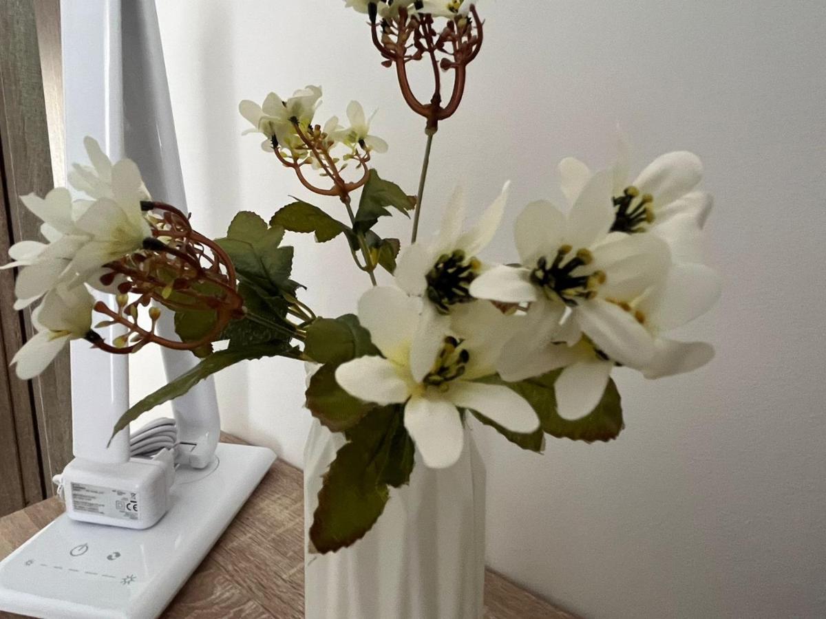 B&B Alessia San Cataldo  Εξωτερικό φωτογραφία